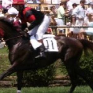 Meet your Posher, Ian